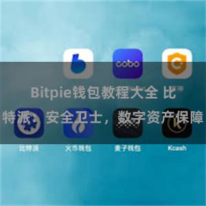 Bitpie钱包教程大全 比特派：安全卫士，数字资产保障