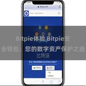 Bitpie体验 Bitpie安全钱包：您的数字资产保护之选