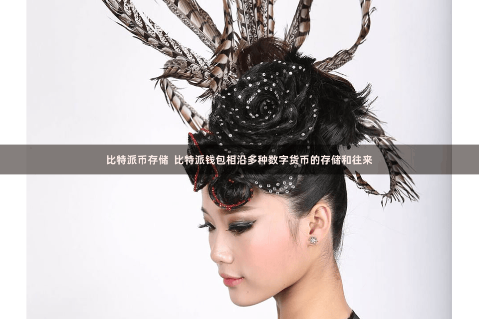 比特派币存储  比特派钱包相沿多种数字货币的存储和往来