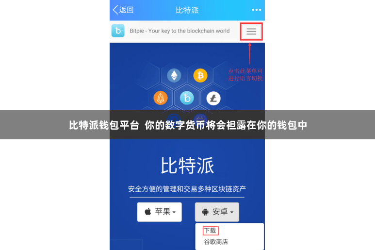 比特派钱包平台  你的数字货币将会袒露在你的钱包中