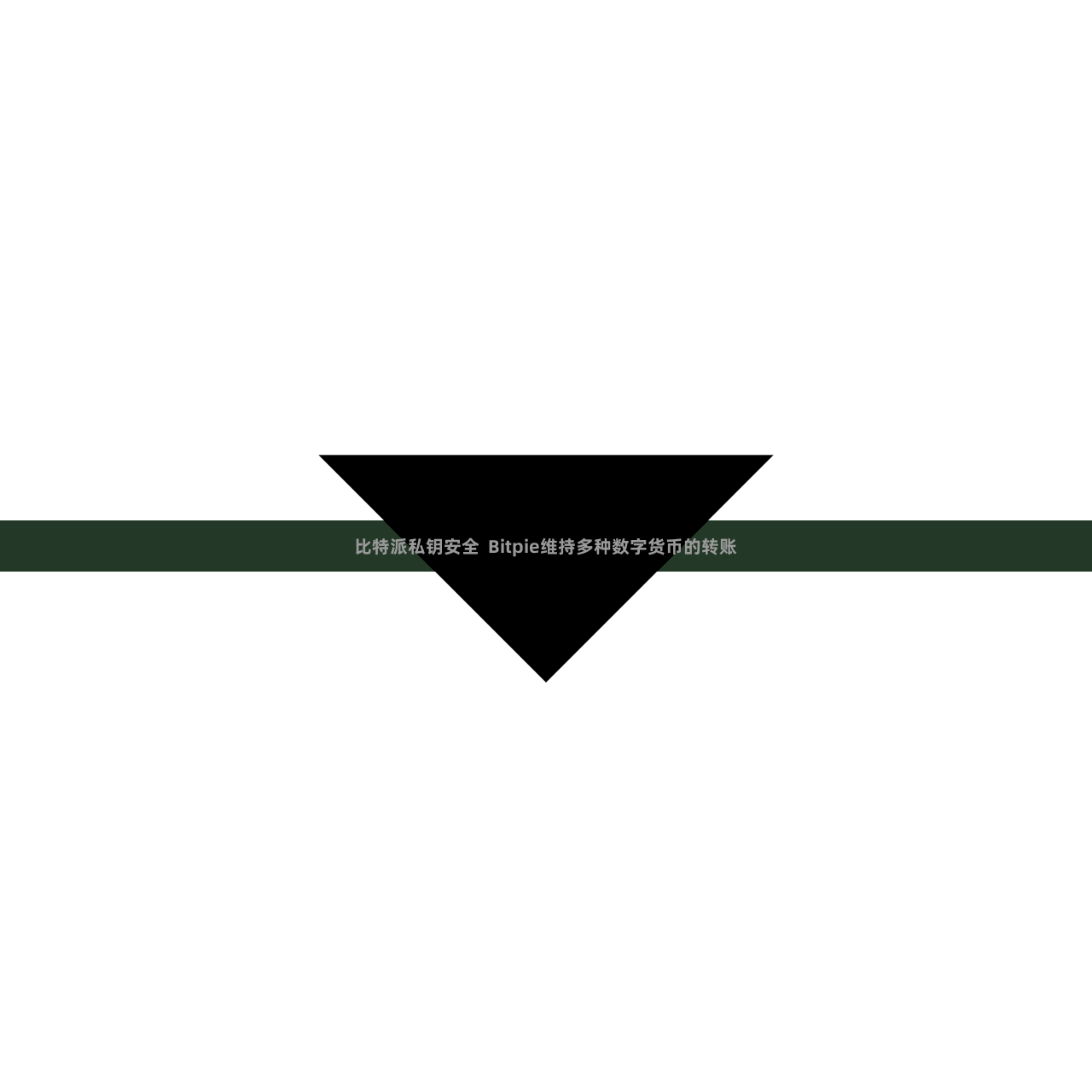 比特派私钥安全  Bitpie维持多种数字货币的转账