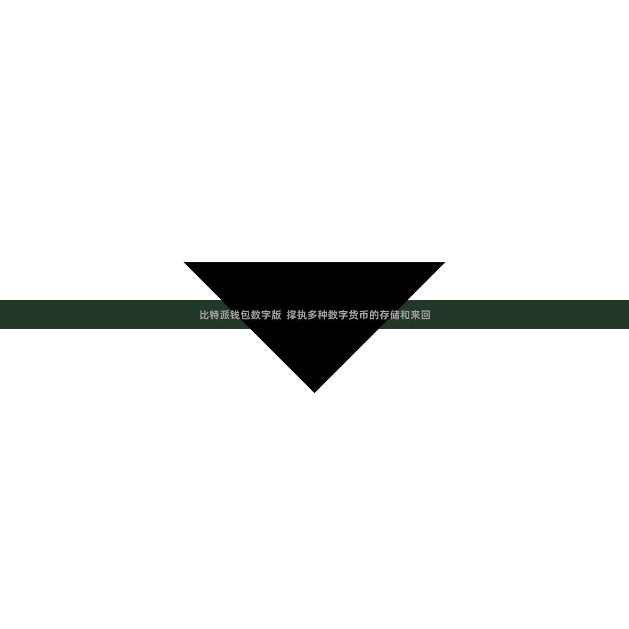 比特派钱包数字版  撑执多种数字货币的存储和来回