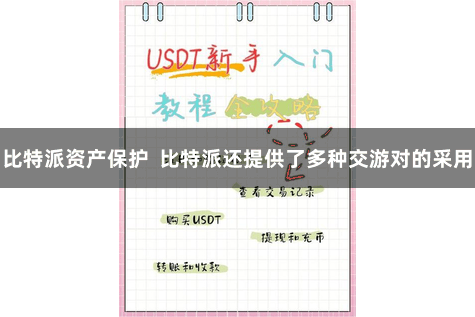 比特派资产保护  比特派还提供了多种交游对的采用