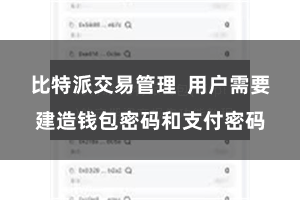 比特派交易管理 用户需要建造钱包密码和支付密码
