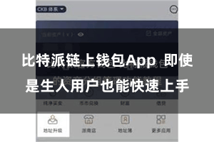 比特派链上钱包App  即使是生人用户也能快速上手
