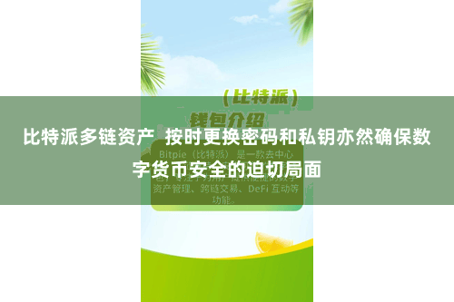 比特派多链资产  按时更换密码和私钥亦然确保数字货币安全的迫切局面
