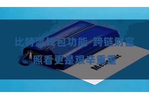 比特派钱包功能  跨链财富照看更是艰辛重重