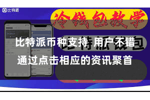 比特派币种支持  用户不错通过点击相应的资讯聚首
